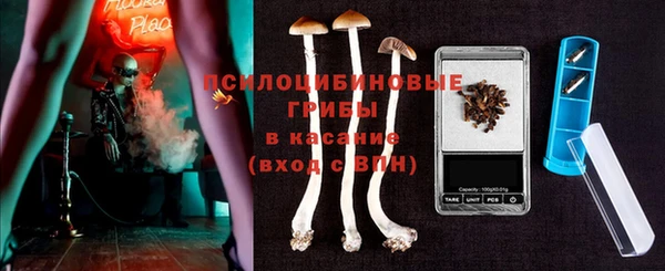 бошки Алзамай